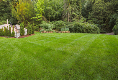 Refined image lawn and landscape, softscapes, snow & ice, lawn cutting & maintenance, residential & commercial lawn care, dunnville, ON